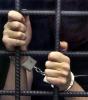 Вместо десятков тысяч человек по амнистии ко Дню Победы освободят около сотни