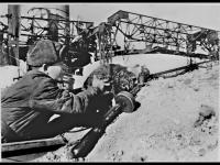 Сталинградский почтовый кот