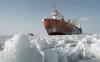 На российской антарктической станции впервые за 42 года не растаял снег