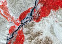 Цветочный бизнес