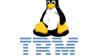 IBM предупреждает: пытаться контролировать Linux бесполезно