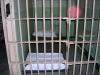 В Голландии взломщики проникли в тюрьму и украли телевизоры заключенных