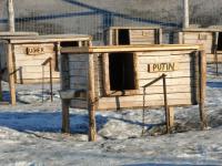 Путину поставили на Севере конуру