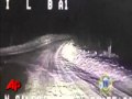 Овчарка приводит помощь к горящему в лесу дому