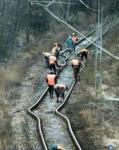 Самая железная дорога