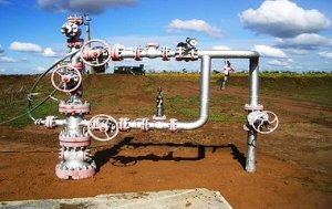 Мировой рынок склонен к снижению, внутренний - к росту