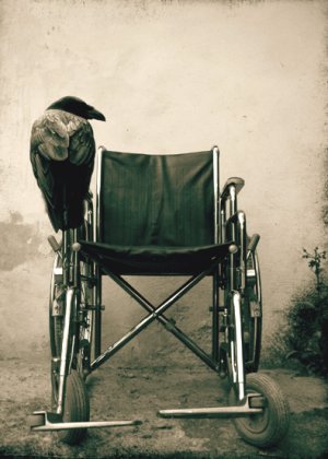 Инвалидов выкидывают на улицу. Куда теперь им идти?