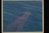 3 июня 1979г. - авария на нефтяной платформе Иксток-1