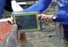Дельфин общается с людьми с помощью iPad