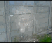 Когда тебе грустно и одиноко БЕЙ ОБ СТЕНУ НОГОЙ