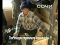 Так живут строители Олимпиады
