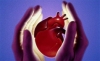 10 удивительных фактов о сердце