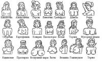 Классификация женских грудей