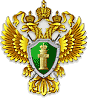Органы прокуратуры проведут масштабную проверку соблюдения мер безопасности в детских лагерях
