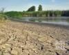Саратовская область. Из-за аномальной жары пересыхают малые реки и артезианские скважины