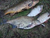 С Днем рыбака!