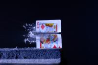 Прощание короля