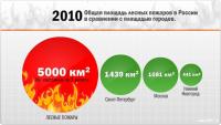 Площадь лесных пожаров в сравнении с площадью городов России