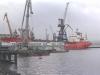 Полковник мурманской таможни позволил незаконно вывезти из РФ крабов