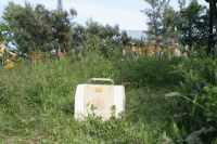 Привет из СССР - детская портативная коляска &quot;Мотылек&quot;