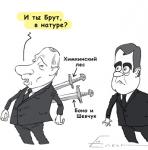 Путин и Медведев