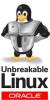 Oracle всерьез взялась за Linux-рынок и выпустила свое Linux-ядро