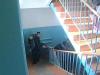 Японский внедорожник оказался для чиновников важнее сельской больницы