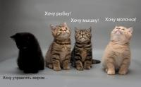 Хочу править миром