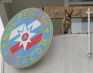 Начальник сегодня злой как собака...