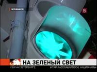Конопля на светофорах...