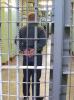 На Кубани бывший милиционер зарубил тяпкой мужчину и его мать
