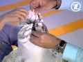 Елена Малышева и Член