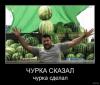 Питерский депутат возмутилась наличием в магазинах «Яцо, дынь, сами вкусны памидор»