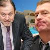 Митволь консультируется с Жириновским по вопросам выборов 2011 и 2012