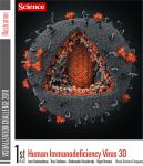 ВИЧ 3D — лучшая научная иллюстрация 2010 года