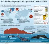 Китобойный промысел в мире