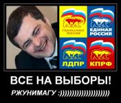 Сурков и региональные выборы