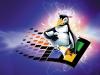 Школы Мордовии переходят на Linux