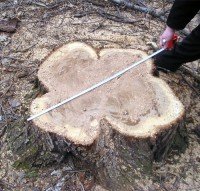 Передел школьной земли