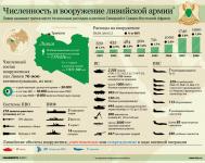 Состав и потери вооруженных сил Ливии