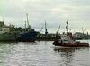 Российские рыбаки продолжают лов в Тихом океане: радиоактивной воды «не так уж много»