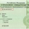 Правительство России признало основным идентификатором граждан — пенсионный номер
