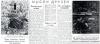 О чем писали советские газеты за неделю до Великой Победы