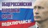 Фронт без линии фронта. В декларации ОНФ не указано, курс какого президента новая структура будет осуществлять