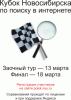 Кубок Новосибирска по поиску в интернете