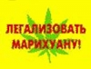 В Москве готовится «Конопляный марш»
