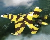 В Комсомольске-на-Амуре завершается сборка первого опытного образца Су-35