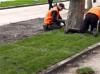 В Пскове после визита Путина исчез уложенный к его приезду газон