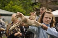 Целься в меня!