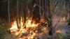Площадь природных пожаров в РФ удвоилась по сравнению с 2010 годом